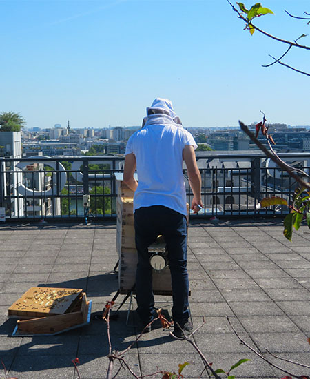 Beekeeper inspecting a hive on a roof