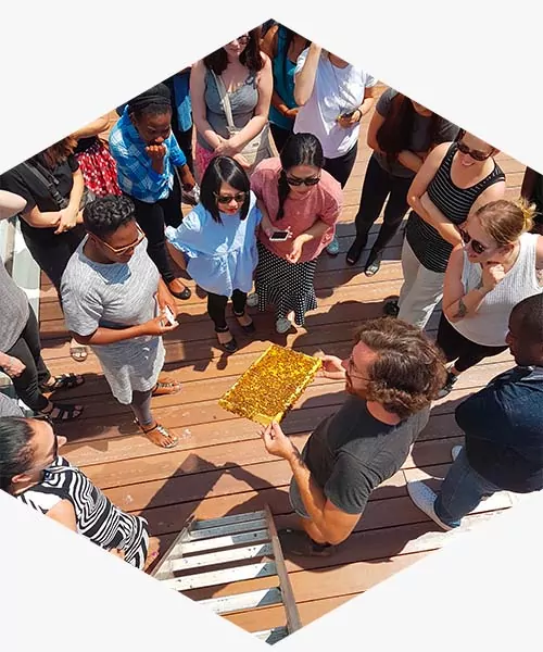 Foster an engaging work environment with Alvéole, the urban beekeeping company
