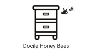 Docile Honey Bees