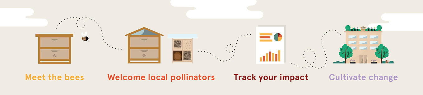 New beekeeping packages Infographic