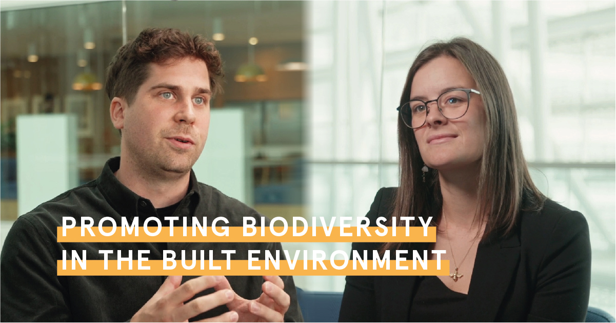 Video: promoting biodiversity in the built environment