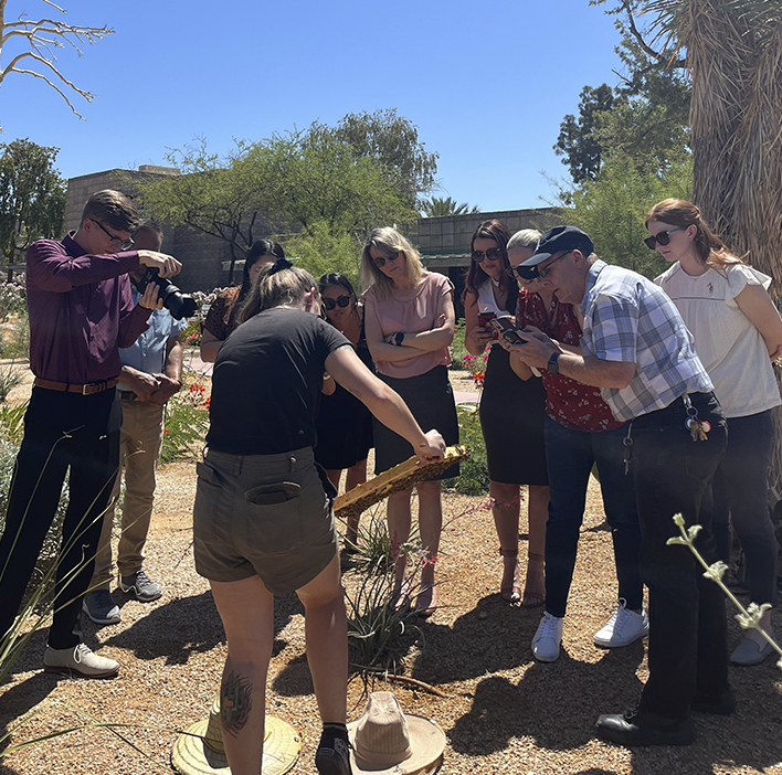 environmental education