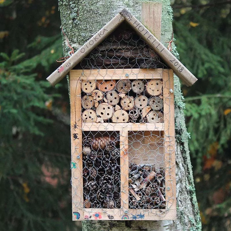 A homemade insect hotel attached to a tree