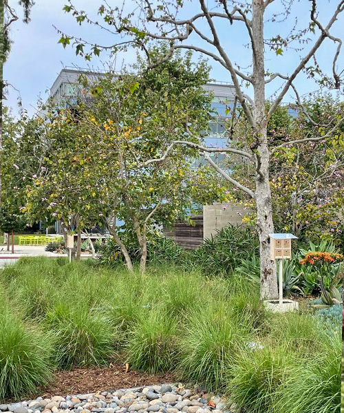 BeeHome in an urban garden. benefits of urban gardens