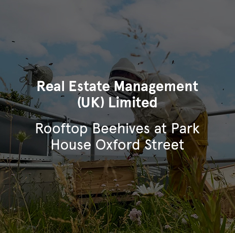 Real Estate Management (UK) Limited - Rooftop Beehives at Park House Oxford Street
