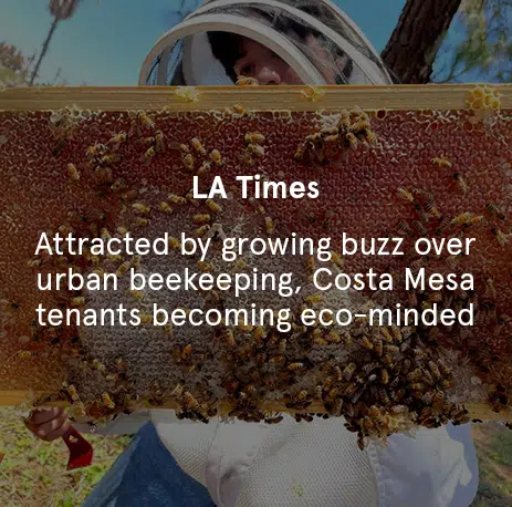 LA Times - Attracted by growing buzz over urban beekeeping, Costa Mesa tenants becoming eco-minded