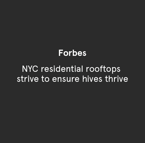 Forbes - NYC Residential Rooftops Strive To Ensure Hives Thrive