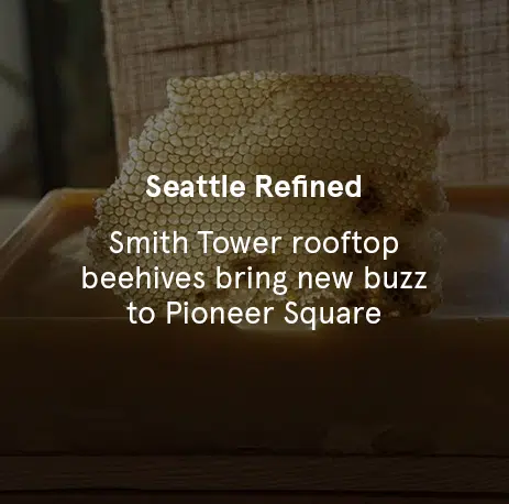 Seattle Refined - Smith Tower rooftop beehives bring new buzz to Pioneer Square