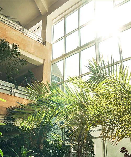 An office space with a plant wall. health benefits of nature