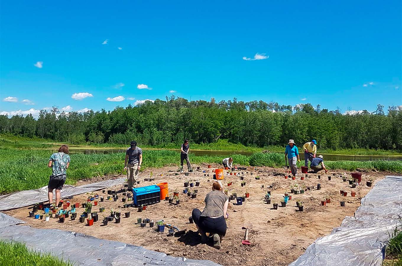 A group of people working in a community garden in Montreal. urban gardening