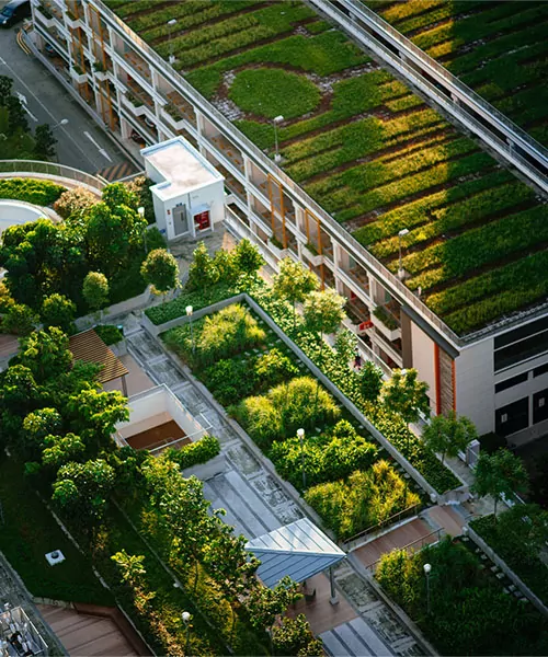 Overhead photo of a green roof. benefits of green building certifications