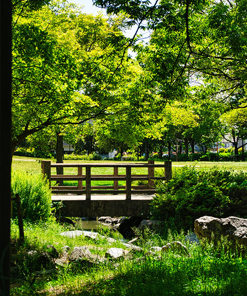 A wooden bridge crossing a small creek in a park filled with lush green plants and trees.