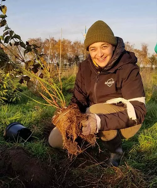 Une personne qui jardine. aider les abeilles sauvages