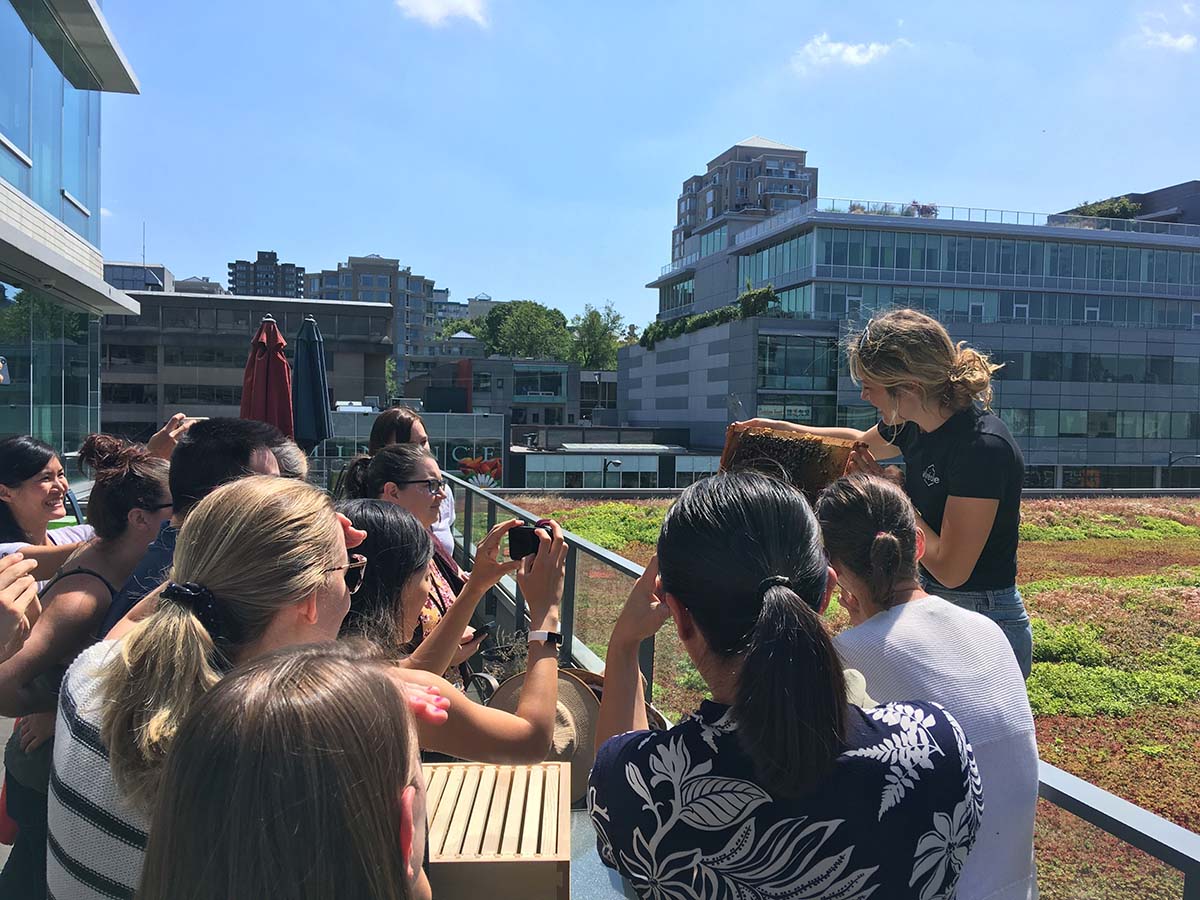 An Alvéole beekeeper shows off a frame of honey bees to a client on a rooftop. fear of bees