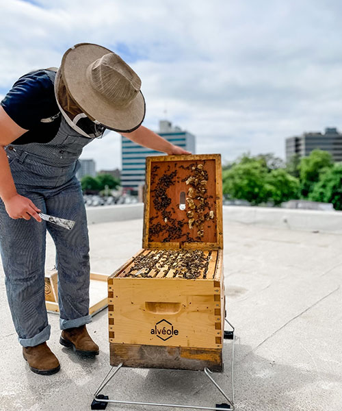 Un apiculteur inspecte une ruche. apiculture pour les propriétés commerciales