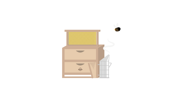 how honey is made