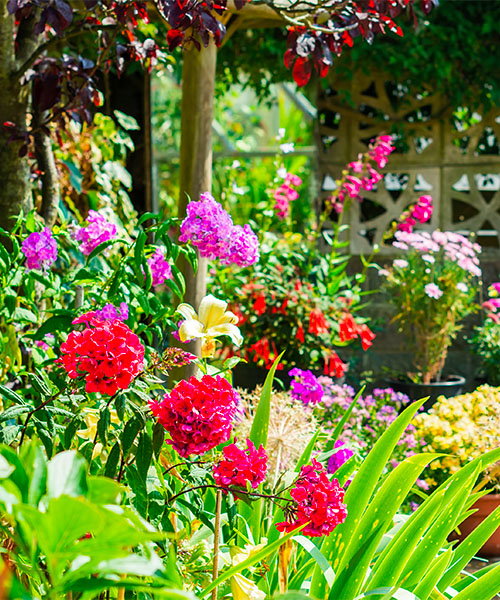 A garden with bright pink and yellow flowers blooming.sustainable landscaping