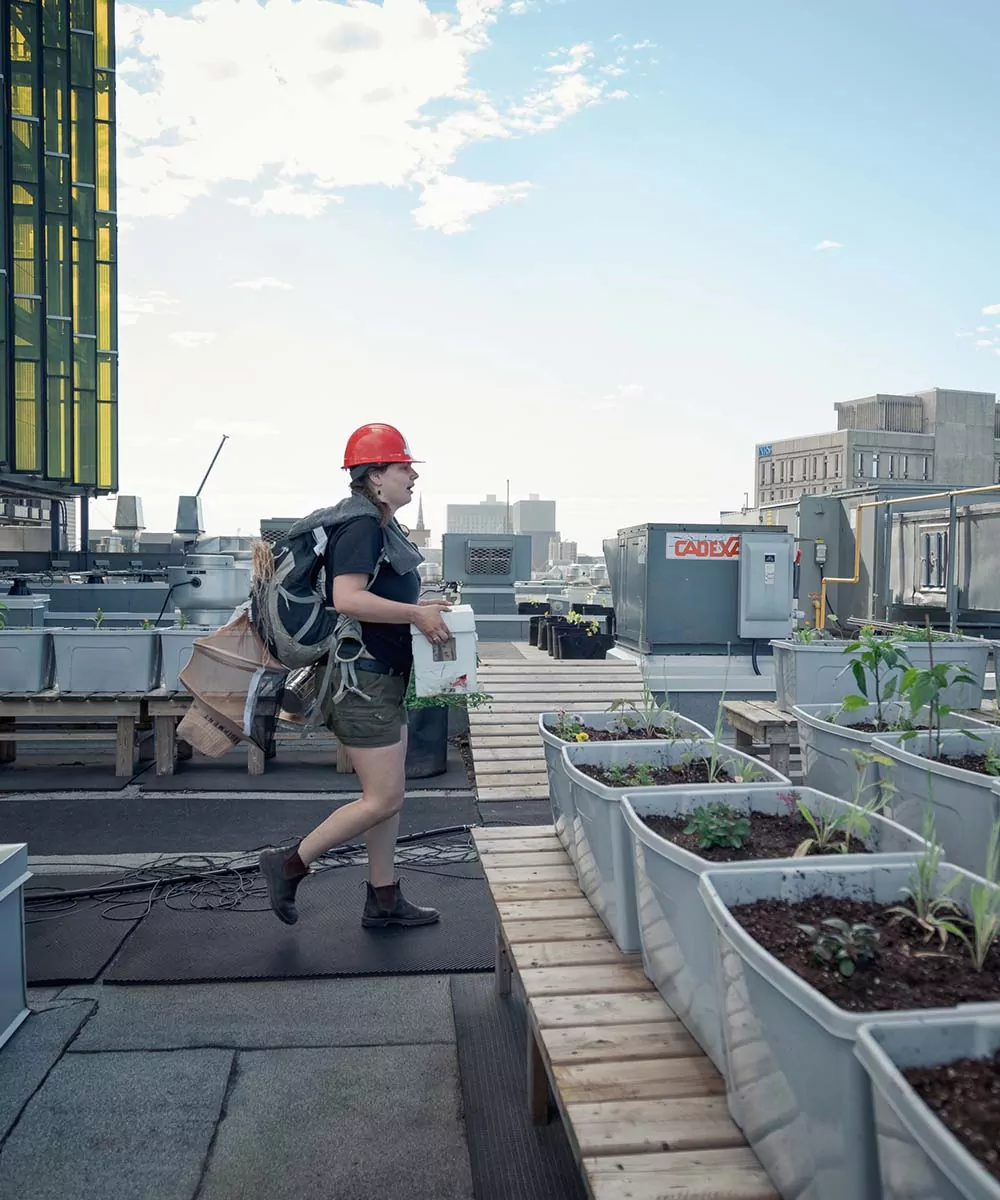 Beekeeper wearing safety equipment while working on rooftop. urban beekeeping company