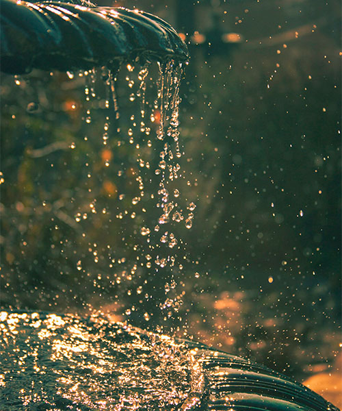 Fontaine décorative. design biophilique