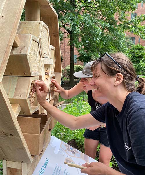 Two people look into the hollow tubes of a bee hotel. importance of pollinators