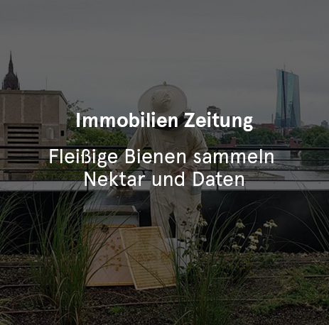 Immobilien Zeitung Fleißige Bienen sammeln Nektar und Daten