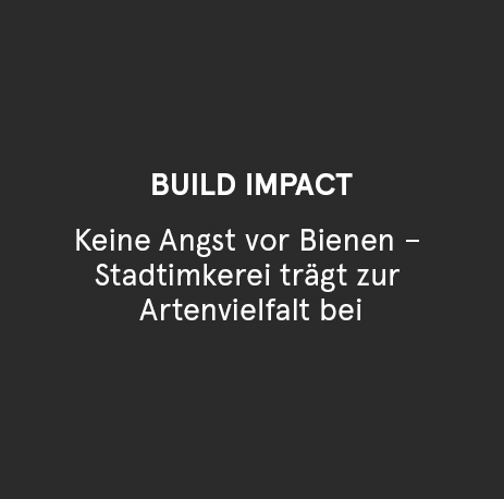 BUILD IMPACT - Bestand nachhaltig verändern Keine Angst vor Bienen – Stadtimkerei trägt zur Artenvielfalt bei, mit Hanna Hentze von Alvéole