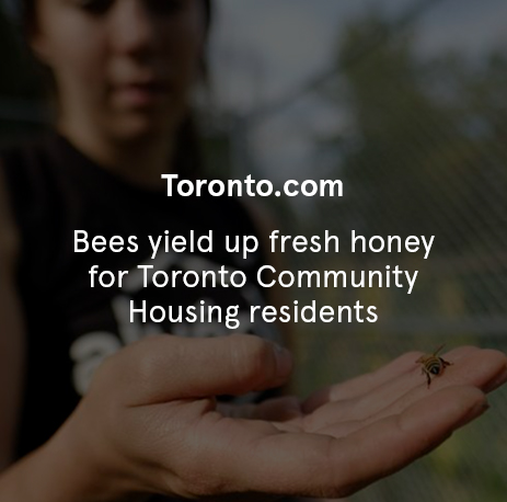 Toronto.com – Bees yield up fresh honey for Toronto Community Housing residents