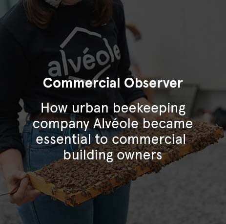 Commercial Observer - How Urban Beekeeping Company Alvéole Became Essential to Commercial Building Owners