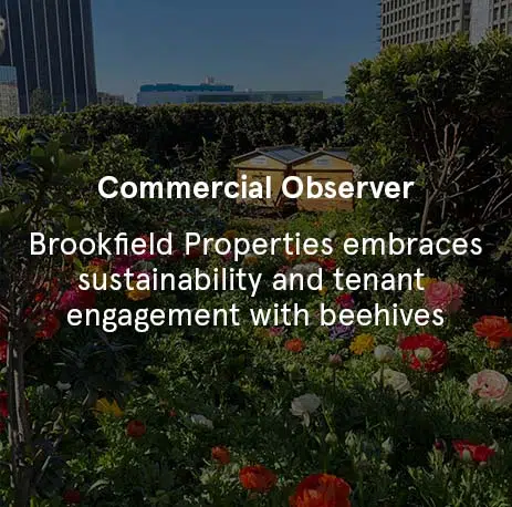 Commercial Observer - Brookfield Properties Embraces Sustainability and Tenant Engagement with Beehives