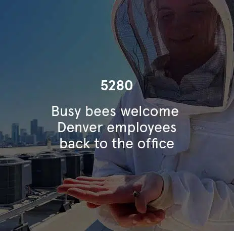 5280 - Busy Bees Welcome Denver Employees Back to the Office