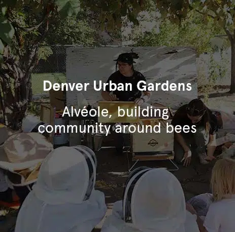 Denver Urban Gardens - Alvéole, Building Community Around Bees