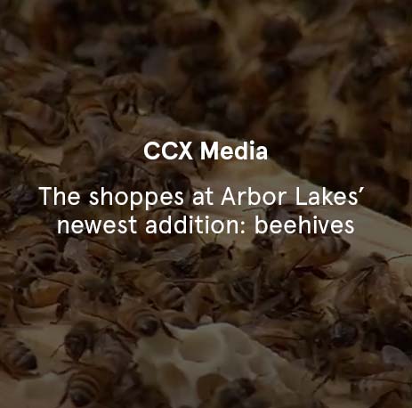 CCX Media - The Shoppes At Arbor Lakes’ Newest Addition: Beehives