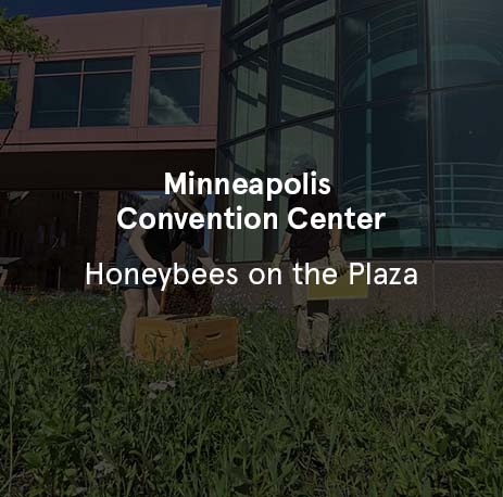 Minneapolis Convention Center - Honeybees on the Plaza