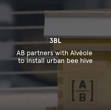3BL - AB Partners With Alvéole To Install Urban Bee Hive
