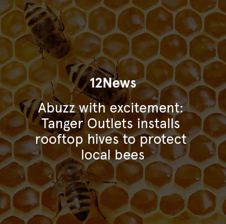 12News - Abuzz with excitement: Tanger Outlets installs rooftop hives to protect local bees