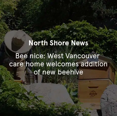 North Shore News - Bee nice: West Vancouver care home welcomes addition of new beehive
