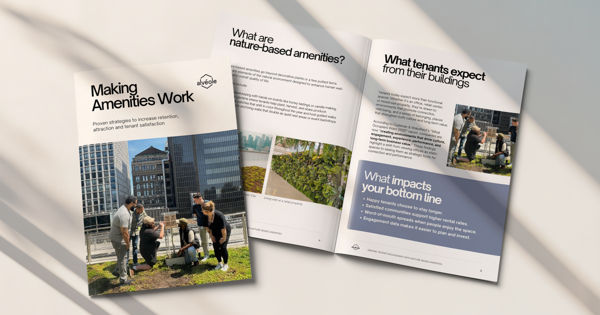 Making Amenities Work