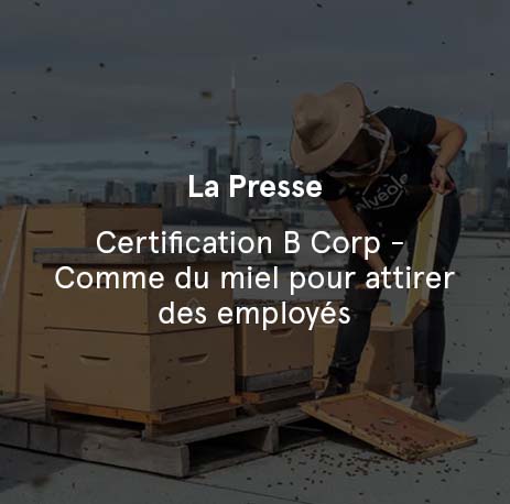 Radio Canada - La biosurveillance à l’aide des abeilles