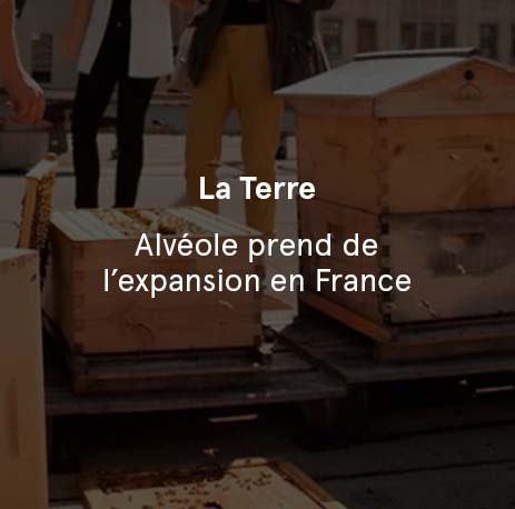 La Terre - Alvéole prend de l’expansion en France