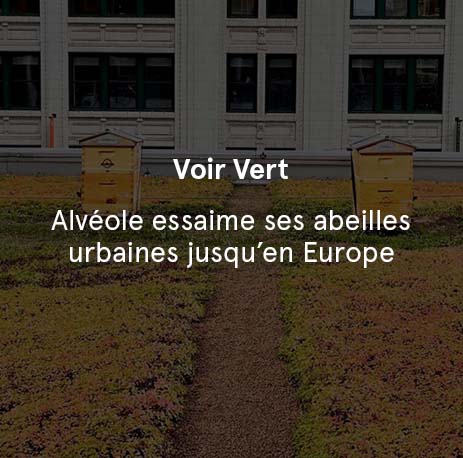 Voir Vert - Alvéole essaime ses abeilles urbaines jusqu’en Europe