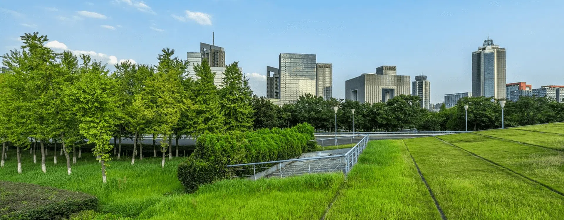 Urban forest environment with commercial real estate in the background