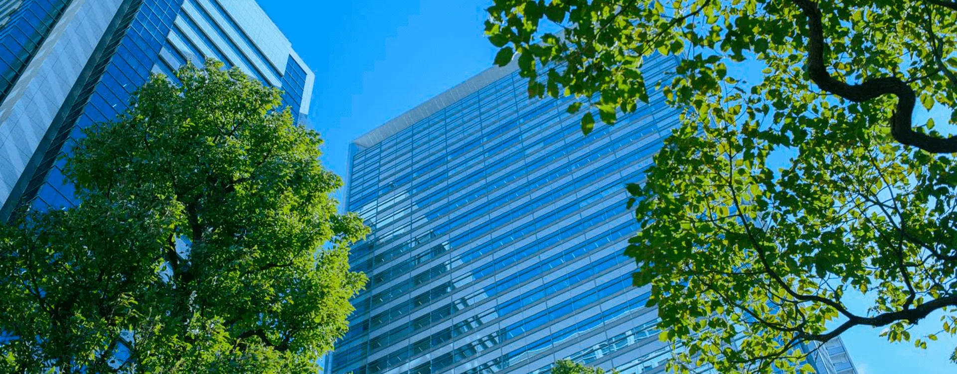 A commercial real estate building over looking a tree filled park