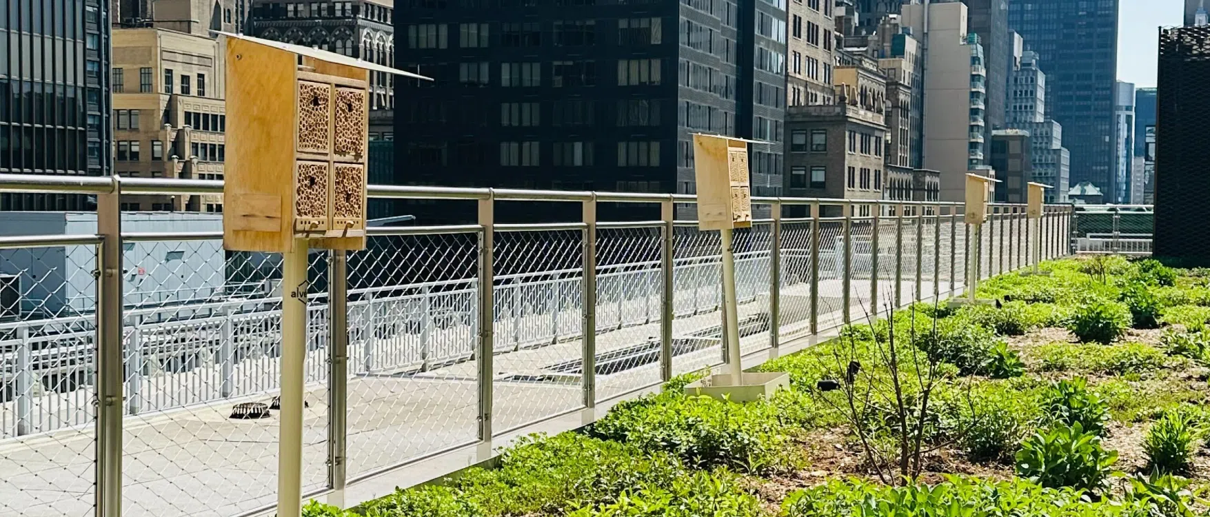 Sustainable office building with integrated biodiversity elements including green roof, living walls, and pollinator gardens for real estate ESG compliance