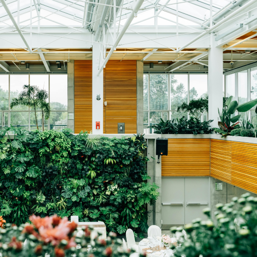 Commercial building featuring sustainability initiatives and biophilic design