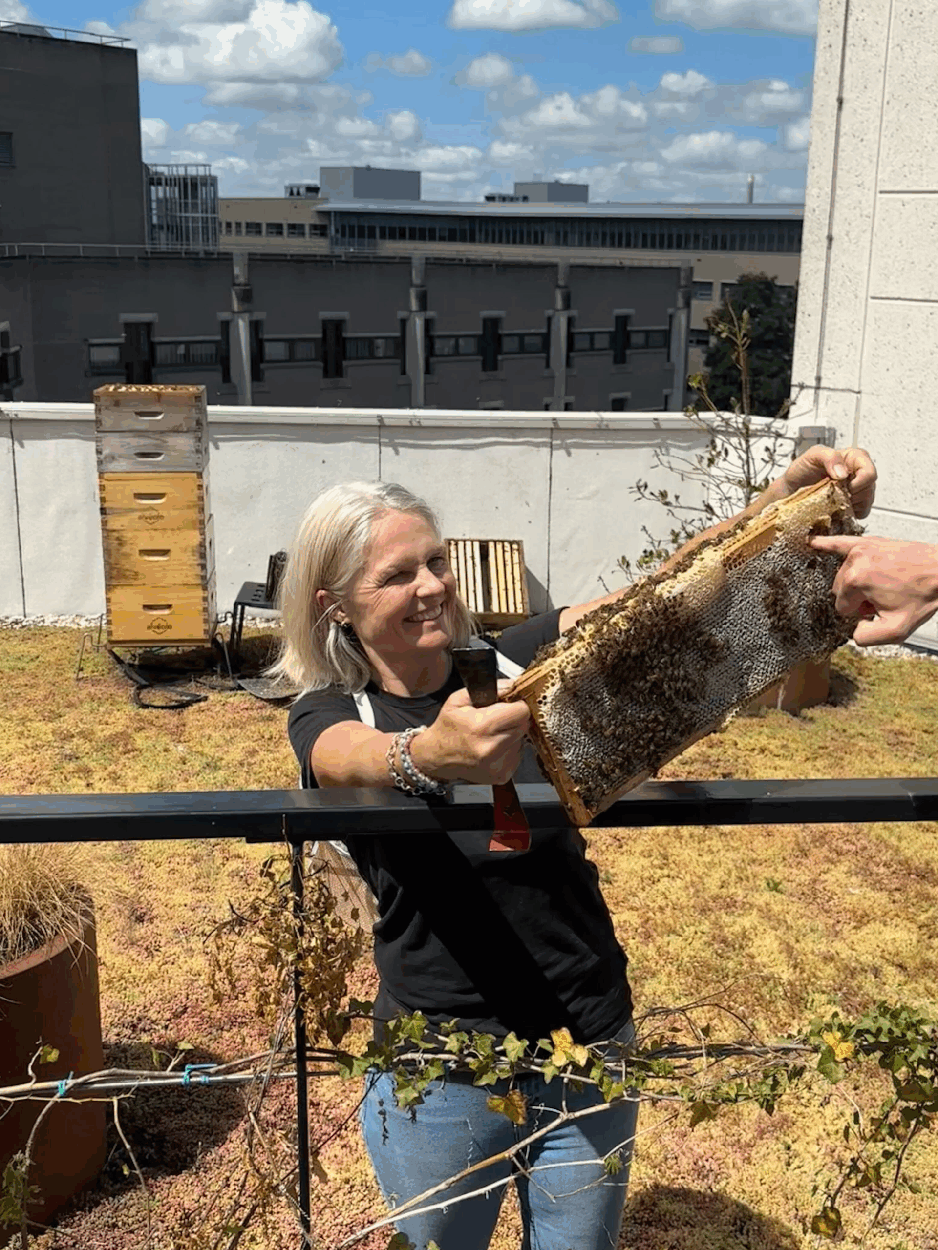 Urban beekeeping in action on a commercial real-estate rooftop. 