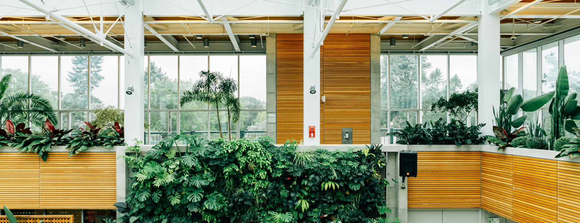 Nature-based amenities in commercial real estate such as biophylic design green walls.