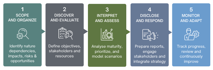 The five steps show how to put TNFD-aligned biodiversity monitoring into action, ensuring consistent data, regulatory compliance, and measurable impact across properties.