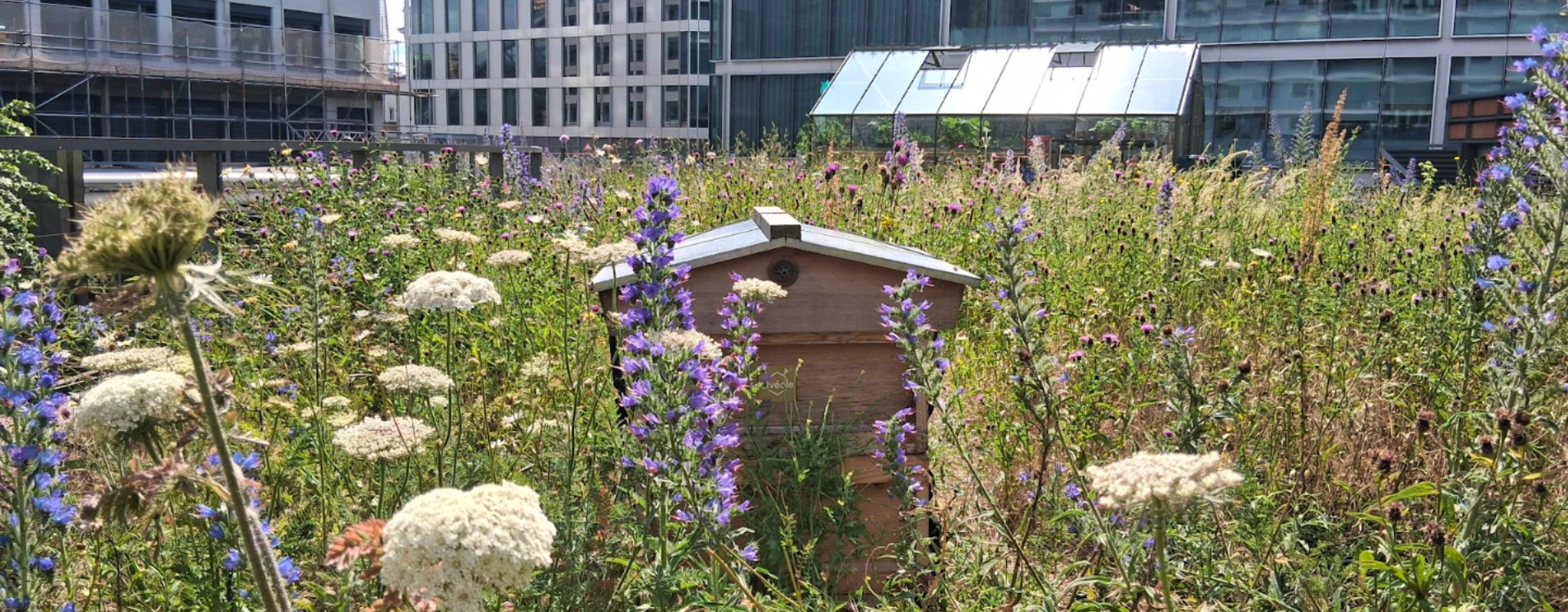 beehive surrounded by flowers